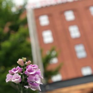 🌟50% OFF Bundles of 3 or more!!!🌟